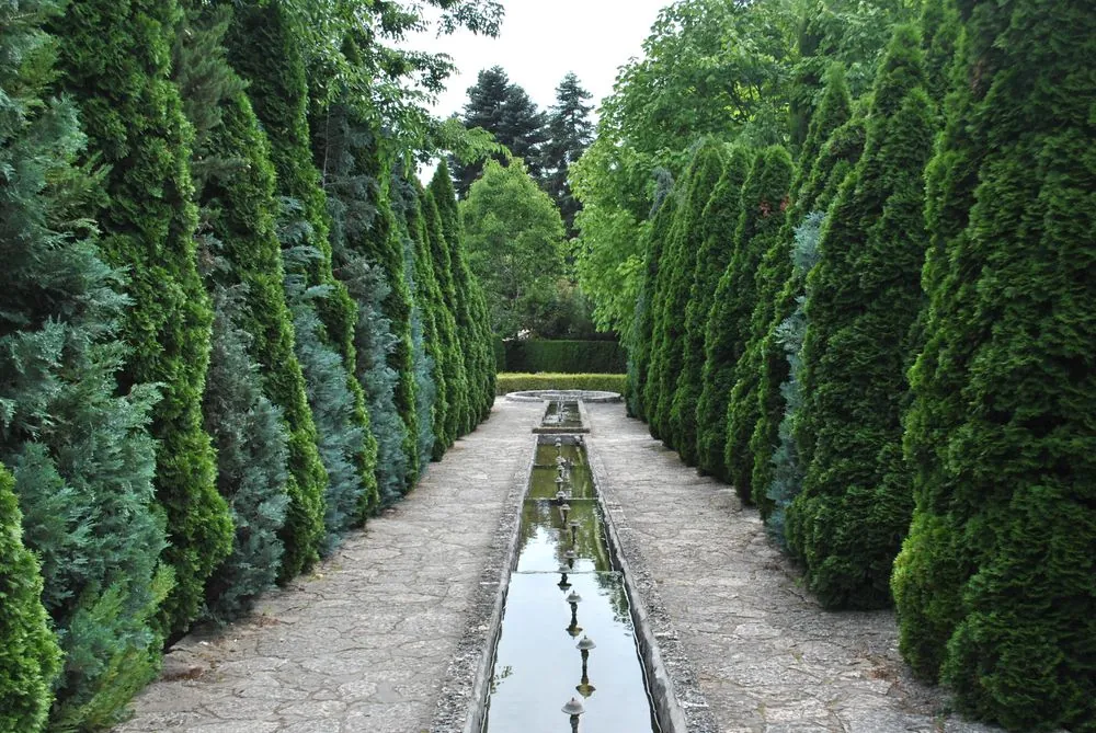 The Rill