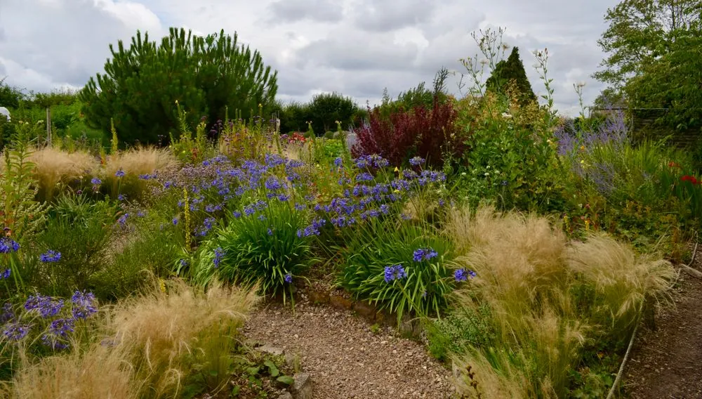 The Meadow Edge